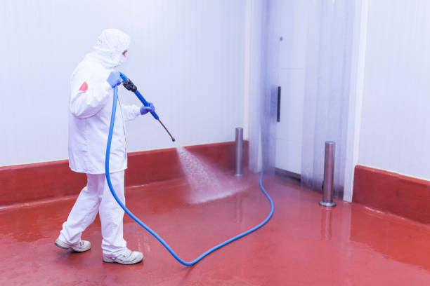 Best Pre-Holiday Cleaning  in Gonzales, CA