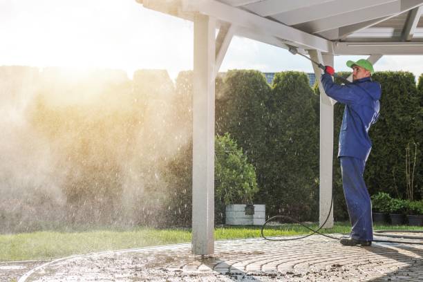 Best Fleet Vehicle Washing  in Gonzales, CA