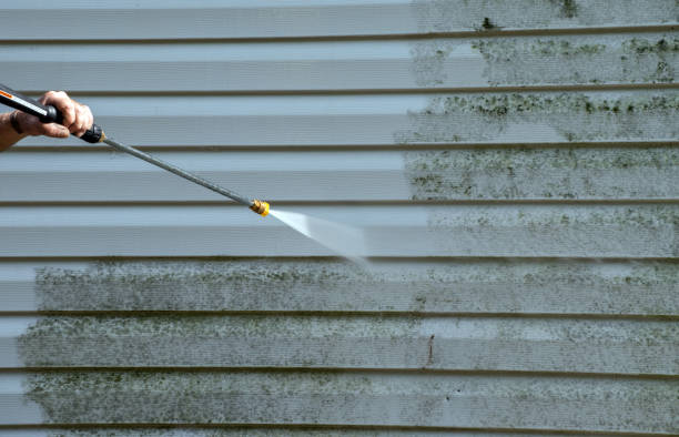 Best House Exterior Washing  in Gonzales, CA
