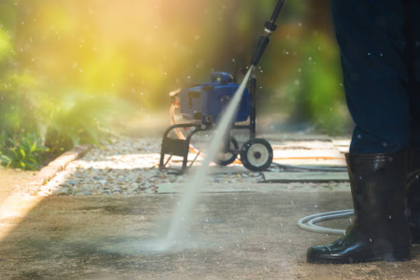Animal Enclosure Cleaning in Gonzales, CA